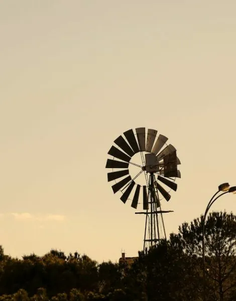 image_683f1704b7af20.89223672-1 image_683f1704b7af20.89223672-1